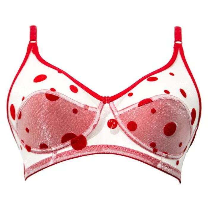 Beautiful Transparent Fancy Bra